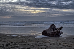 Ocean Shores