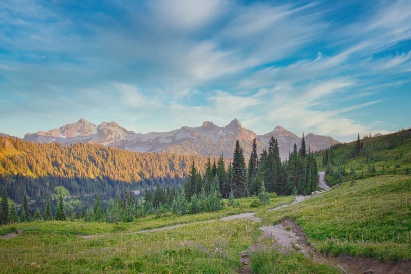 Mt. Rainier #001