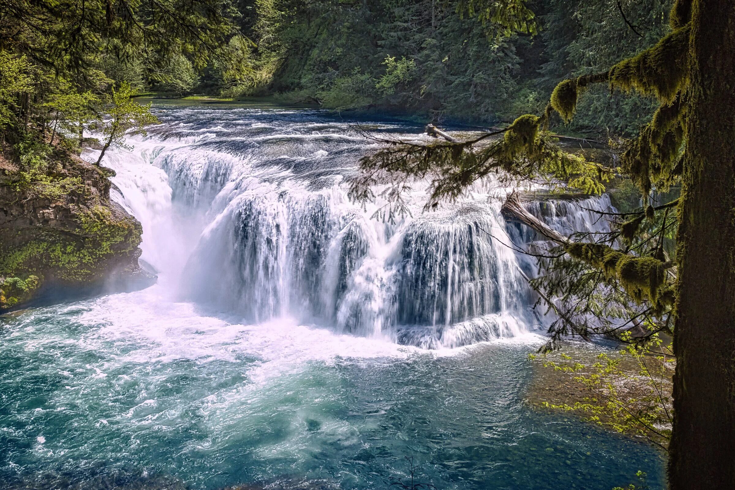 Lower Lewis Falls